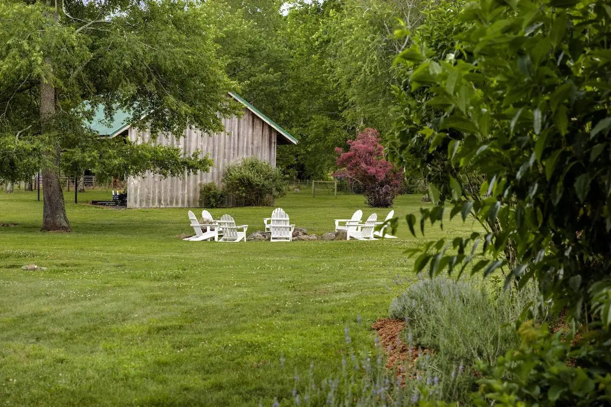 14591769d6ec41008ca32833dc59a963 Large