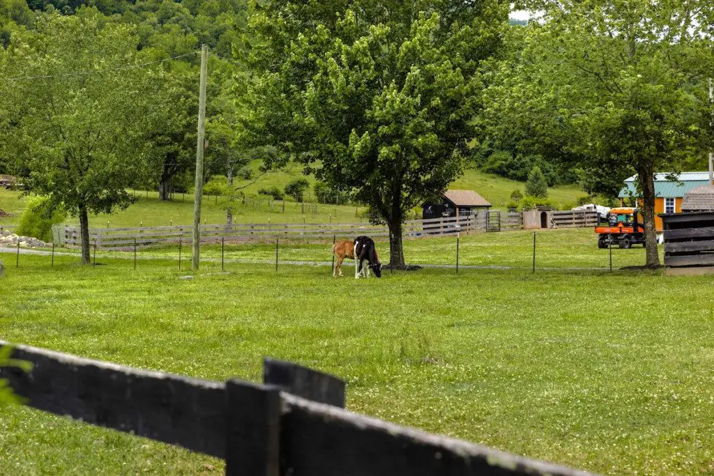 28179e7165544c739f5b13e1df10d002 Large