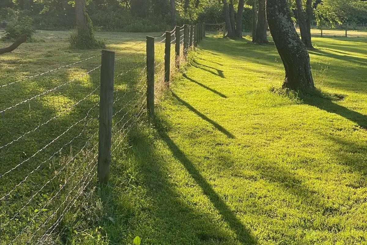 3ae4b62ff84340438c898b7efc5345a3 Large