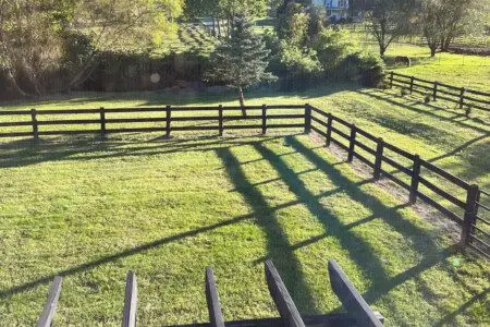 47dbda1841614a879bf7f52bb792796d Large