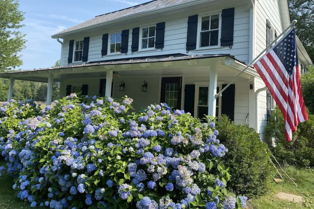 69235f1b26b149ce9c1891266af71c9d Large