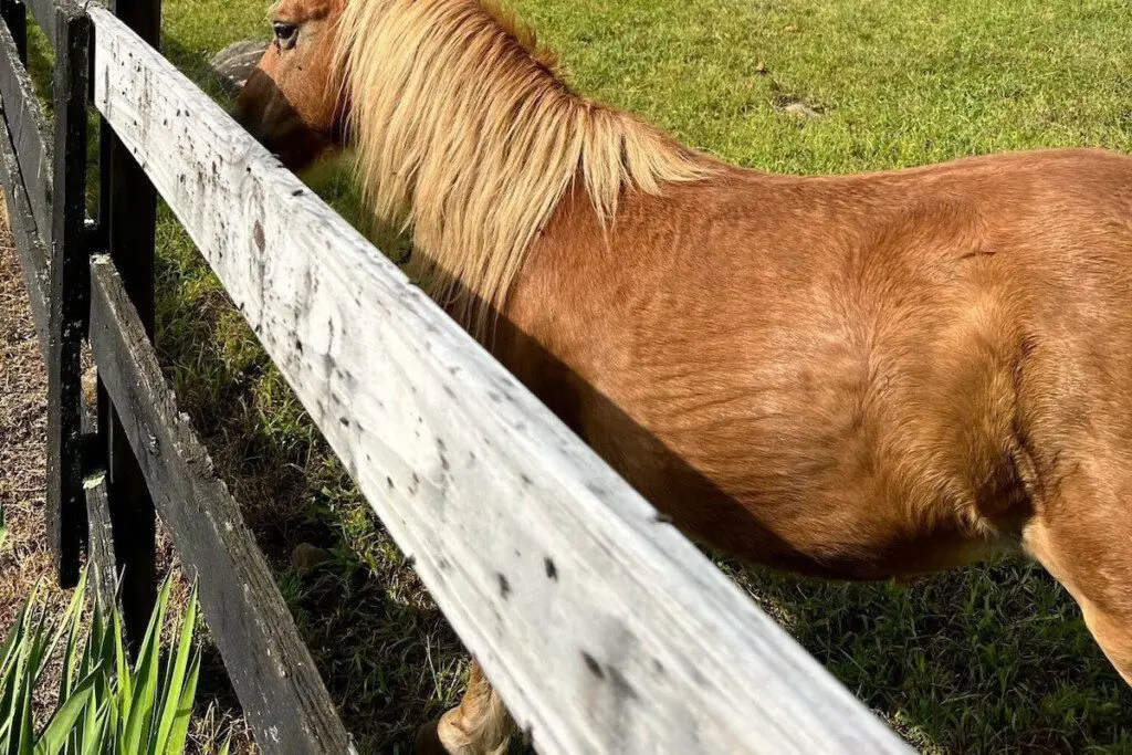 900f870d9a9f45b6877706e8fcda4fe8 Large