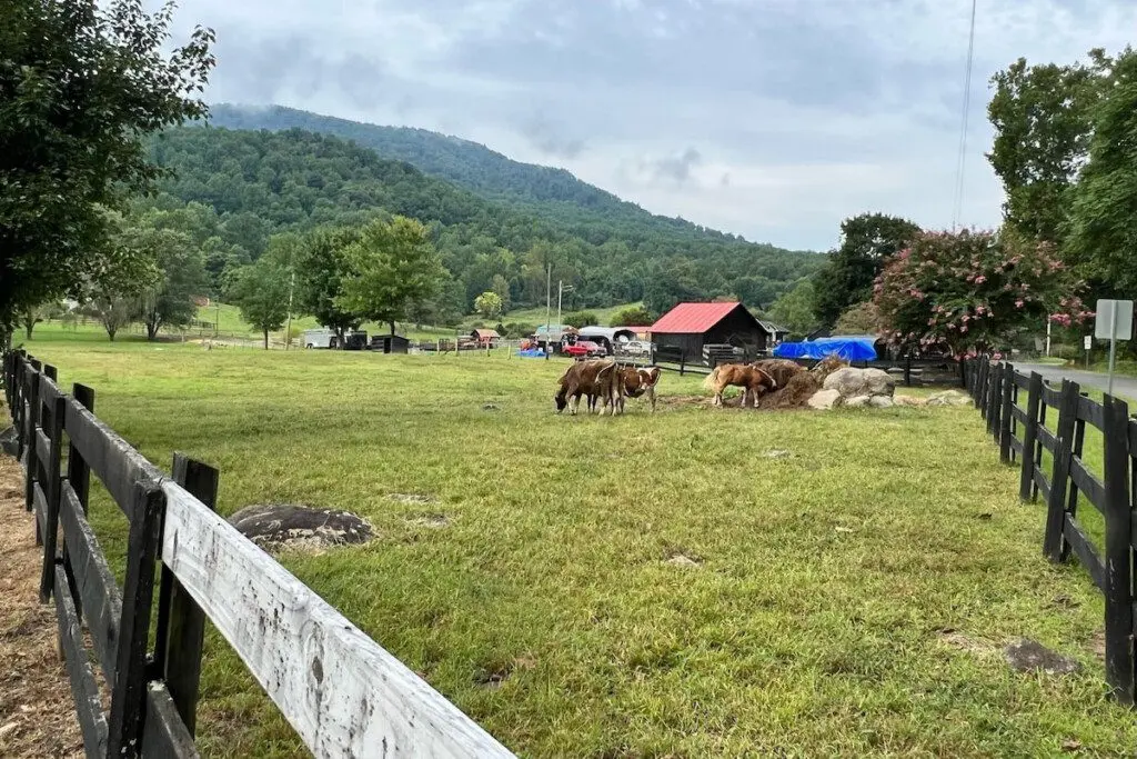 9e45885fcf1e48e78f367e3ff8e31717 Large