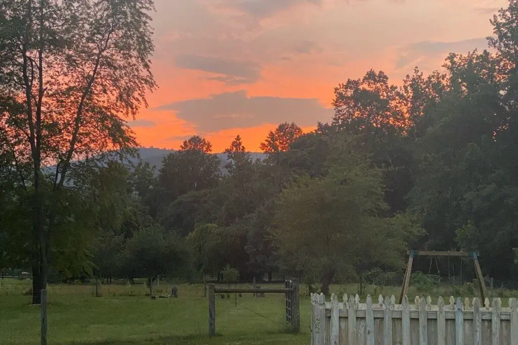 c51e4f5147084c5f8a25d50f94d2befc Large