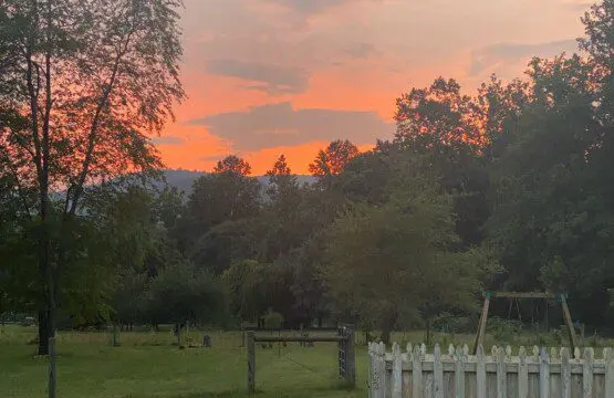 c51e4f5147084c5f8a25d50f94d2befc Large