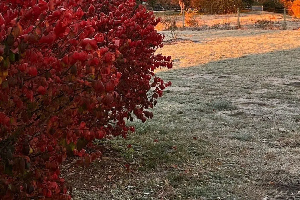 dcb38d9769e44faca162db823abfa15e Large