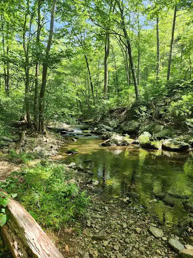 Nicholson Hollow Trail