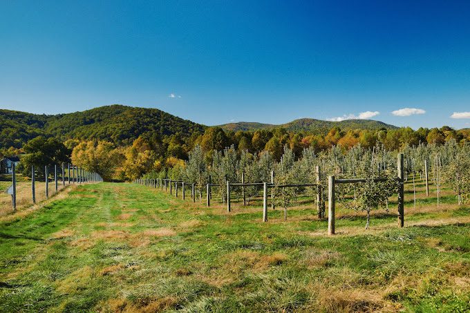 F.T. Valley Farm