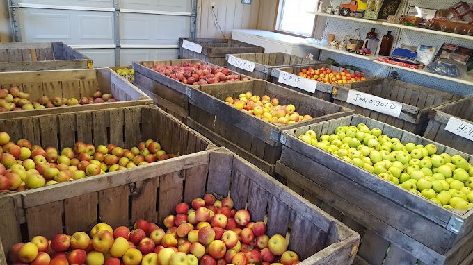 Roy's Farm Market